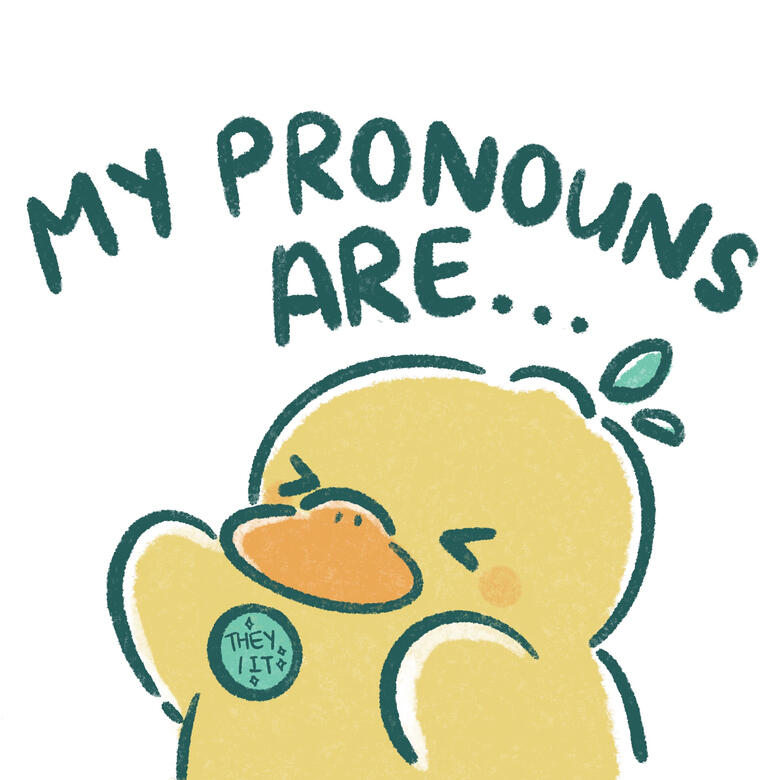 My Pronouns are...
